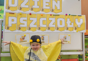 Zdjęcie 16 na 27