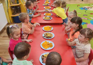 Zdjęcie 13 na 34