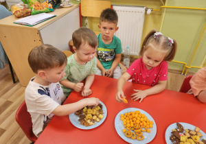 Zdjęcie 15 na 34