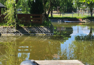Zdjęcie 4 na 147