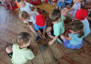 Zdjęcie 28 na 147