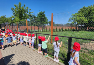 Zdjęcie 85 na 147