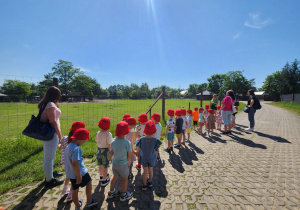 Zdjęcie 130 na 147