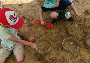 Zajęcia "Mały Paleontolog"- dzieci poszukują szczątków dinozaurów.