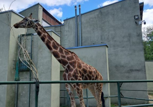 Dzieci zwiedzają Orientarium w Łodzi