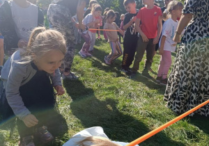 Zabawy w ogrodzie przedszkolnym.