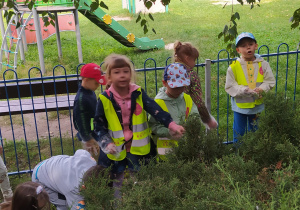 Dzieci podczas akcji sprzątania świata