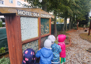 Zwiedzanie hotelu owadów.