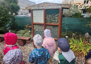Zwiedzanie hotelu owadów.