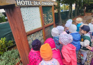 Zwiedzanie hotelu owadów.