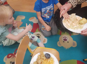 Poznajemy owoce za pomocą zmysłów.