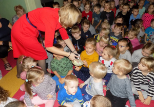 Pani Magda pokazuje dzieciom przeciętą główkę kapusty