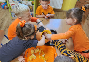 Zdjęcie 67 na 101