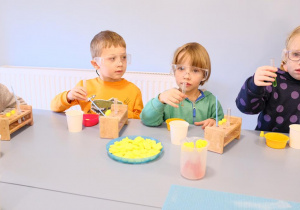 Olek i Leoś