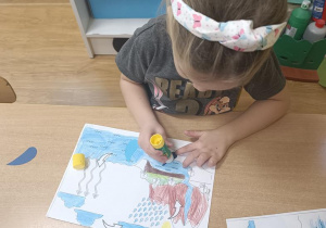 Zdjęcie 14 na 24
