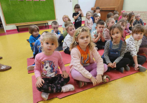 "Felkowy Stryszek-Dom Tymczasowy"-podsumowanie akcji charytatywnej.