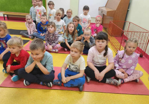 "Felkowy Stryszek-Dom Tymczasowy"-podsumowanie akcji charytatywnej.