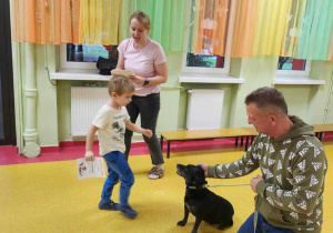 "Felkowy Stryszek-Dom Tymczasowy"-podsumowanie akcji charytatywnej.
