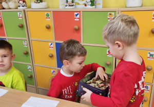 Zdjęcie 3 na 48