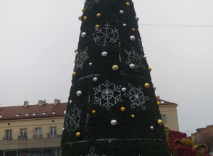 Warsztaty z robienia pierników w "Bistro Różane"