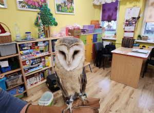 Pokaz zwierząt egzotycznych