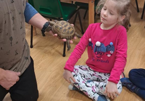 Warsztaty zoologiczne.