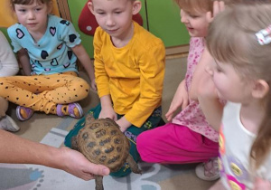 Warsztaty zoologiczne.