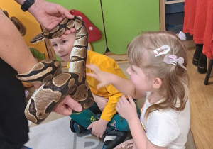 Warsztaty zoologiczne.