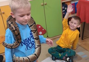 Warsztaty zoologiczne.