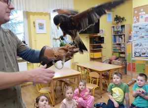 Mini ZOO- pokaz zwierząt egzotycznych.