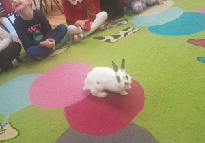 Żywa lekcja przyrody.