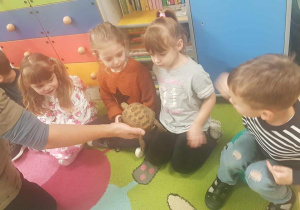 Żywa lekcja przyrody.