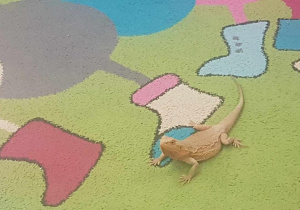 Żywa lekcja przyrody.