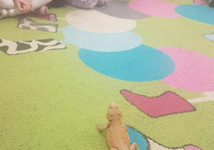 Żywa lekcja przyrody.