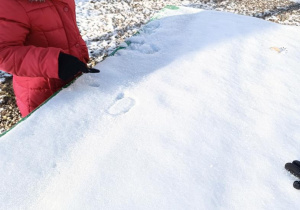 Zabawy na śniegu i ze śniegiem w ogrodzie przedszkolnym.