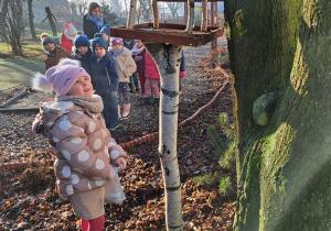 Dokarmiamy ptaki w ogrodzie przedszkolnym.