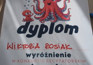 Zdjęcie 8 na 13