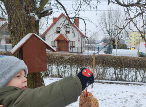 Zimą pamiętamy o ptaszkach.