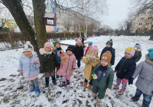 Kreci pamiętają o ptaszkach.
