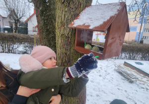 Lidka dokłada ziarenek do karmnika.