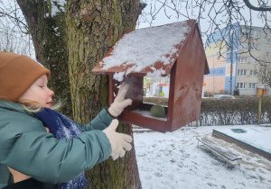 Tosia dokłada ziarenek do karmnika.