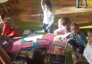 Zdjęcie 4 na 13