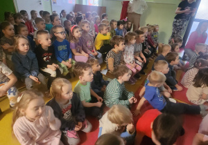Zdjęcie 5 na 6