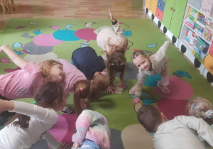 Zdjęcie 24 na 28