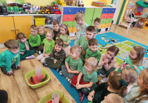 Zdjęcie 16 na 63