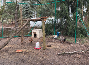 Zagroda Edukacyjna "Konarzew" Stajnia Lusi