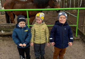 Zdjęcie 47 na 99