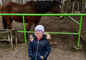Zdjęcie 53 na 99