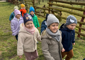 Zdjęcie 55 na 99