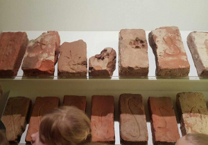 Wycieczka do Muzeum Pałac Saski w Kutnie.